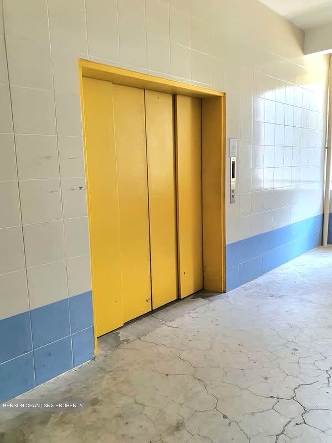 Perfect One (D13), Factory #547241851